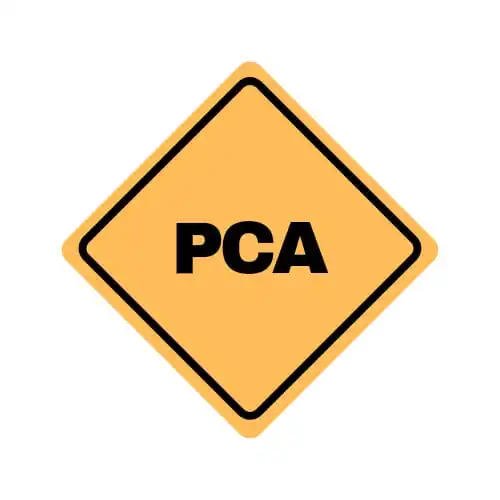 PCA — Programa de Conservação Auditiva e ruído ocupacional